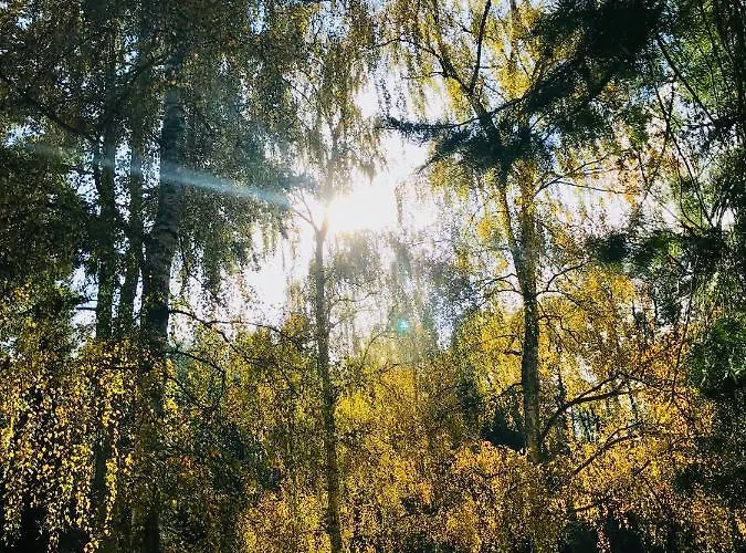 Familienferienpark Dambeck Hostel Kratzeburg